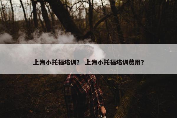 上海小托福培训？ 上海小托福培训费用？