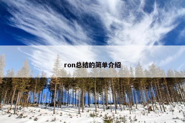 ron总结的简单介绍