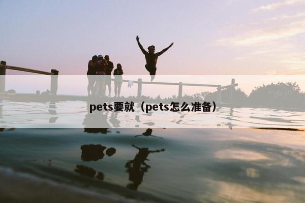 pets要就（pets怎么准备）