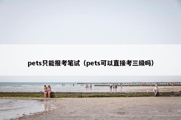 pets只能报考笔试（pets可以直接考三级吗）