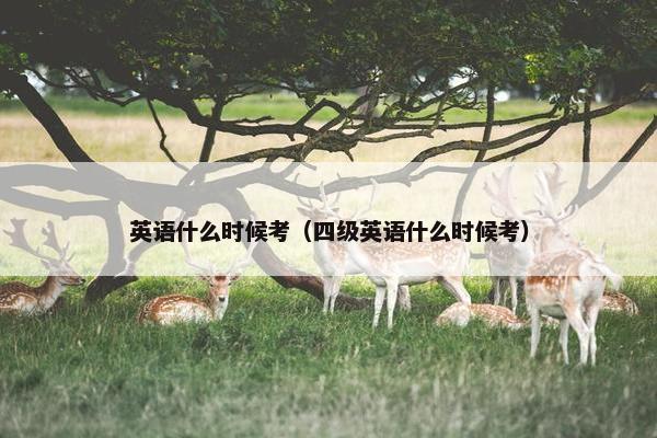 英语什么时候考（四级英语什么时候考）