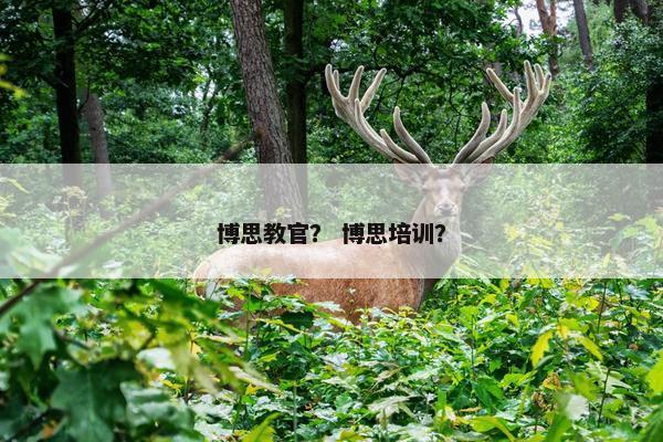 博思教官？ 博思培训？