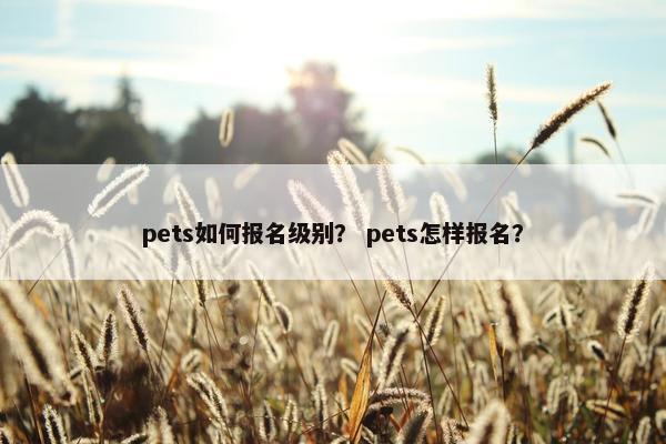 pets如何报名级别？ pets怎样报名？