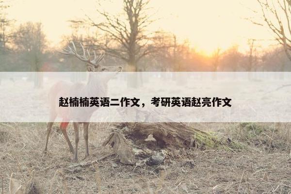 赵楠楠英语二作文，考研英语赵亮作文