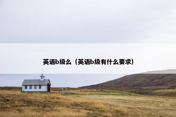 英语b级么（英语b级有什么要求）