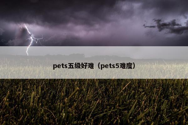 pets五级好难（pets5难度）