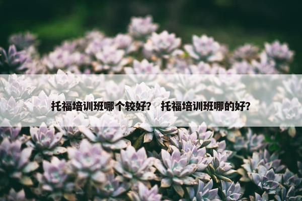 托福培训班哪个较好？ 托福培训班哪的好？