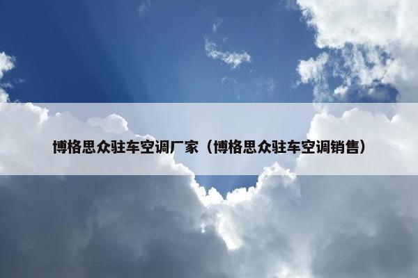 博格思众驻车空调厂家（博格思众驻车空调销售）