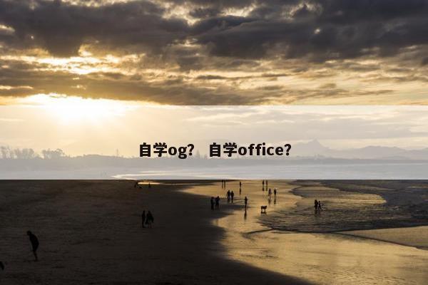 自学og？ 自学office？