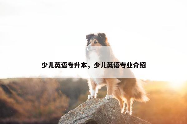 少儿英语专升本，少儿英语专业介绍