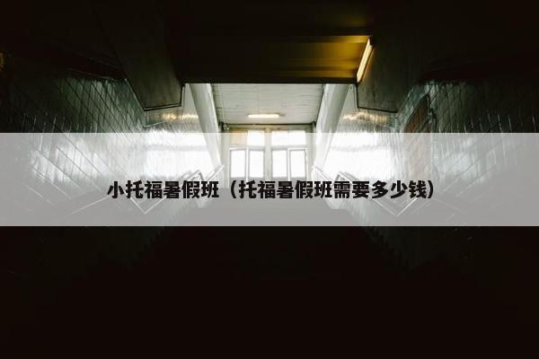 小托福暑假班（托福暑假班需要多少钱）