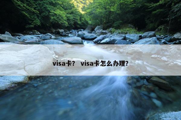 visa卡？ visa卡怎么办理？