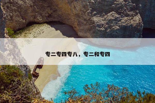 专二专四专八，专二和专四
