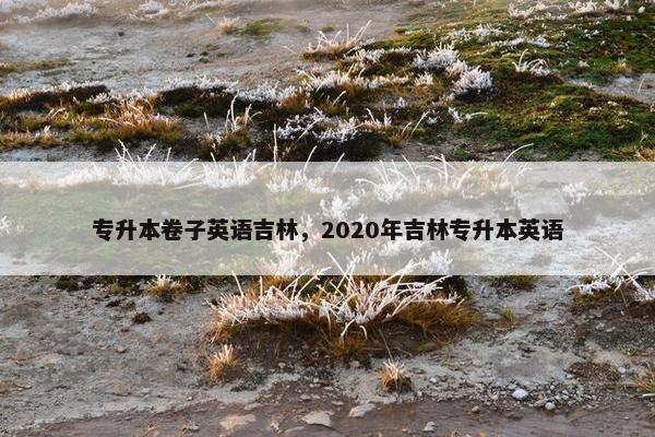 专升本卷子英语吉林，2020年吉林专升本英语
