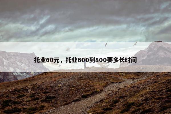 托业60元，托业600到800要多长时间