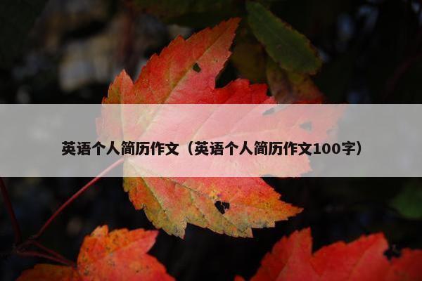 英语个人简历作文（英语个人简历作文100字）