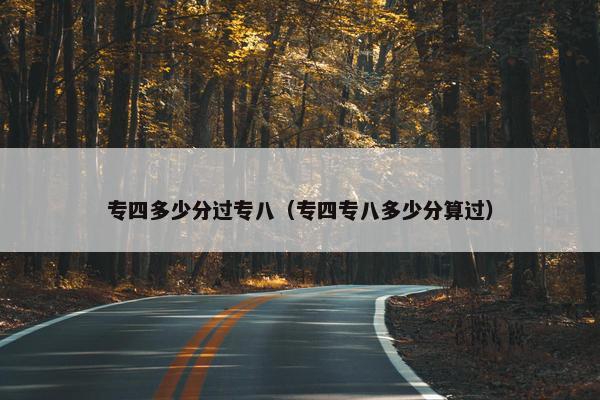 专四多少分过专八（专四专八多少分算过）