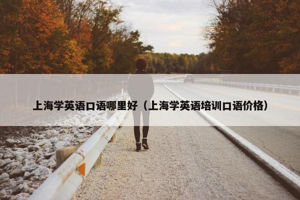上海学英语口语哪里好（上海学英语培训口语价格）