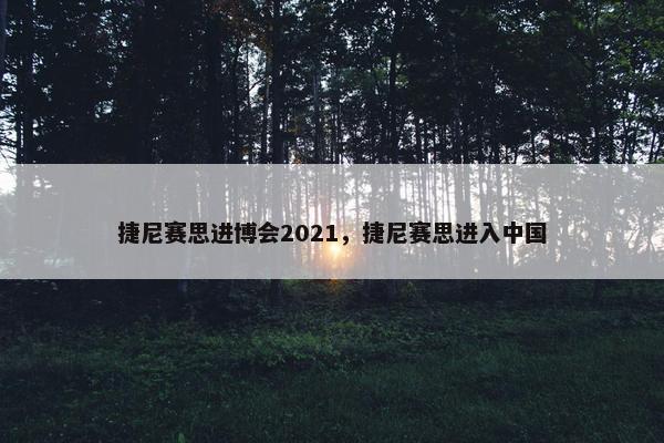 捷尼赛思进博会2021，捷尼赛思进入中国