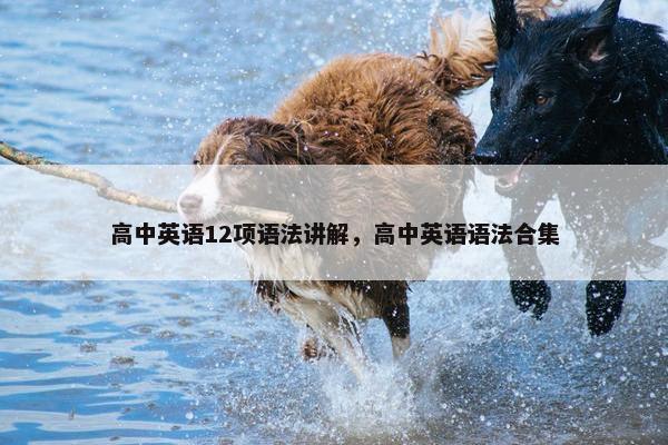 高中英语12项语法讲解，高中英语语法合集