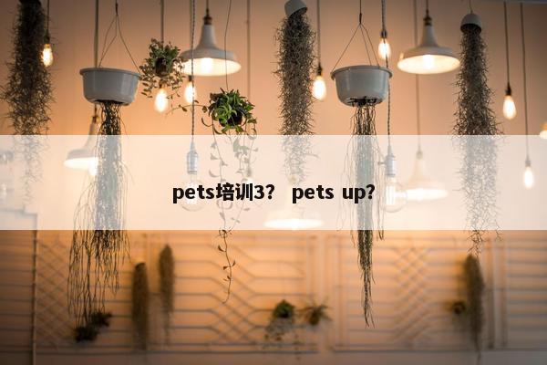 pets培训3？ pets up？