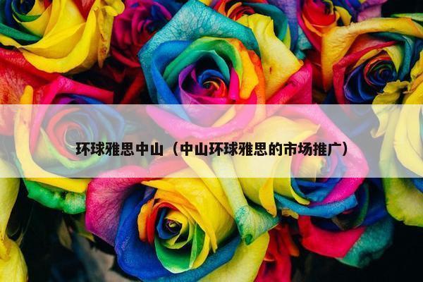 环球雅思中山（中山环球雅思的市场推广）