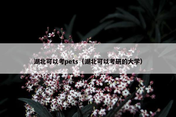 湖北可以考pets（湖北可以考研的大学）