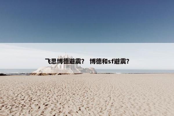 飞思博德避震？ 博德和sf避震？