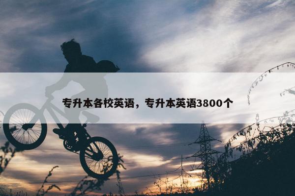 专升本各校英语，专升本英语3800个
