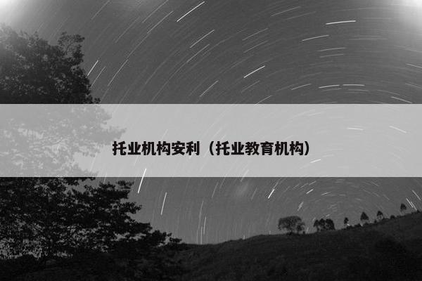 托业机构安利（托业教育机构）