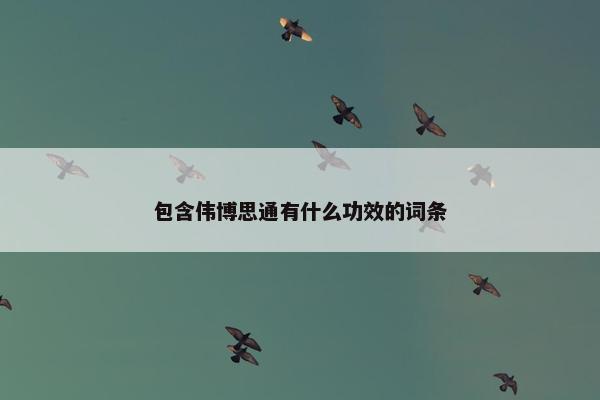 包含伟博思通有什么功效的词条