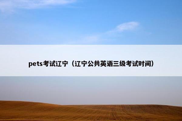 pets考试辽宁（辽宁公共英语三级考试时间）