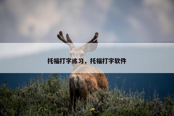 托福打字练习，托福打字软件