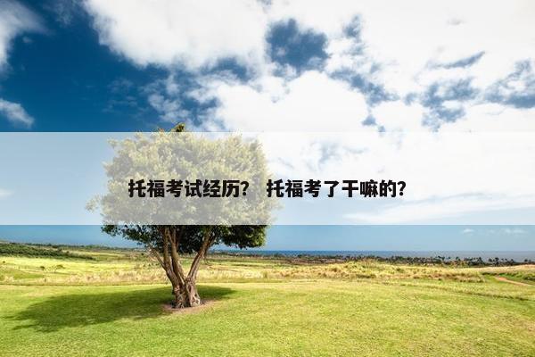 托福考试经历？ 托福考了干嘛的？
