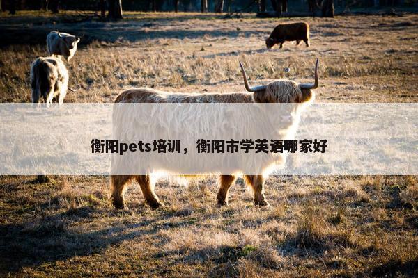 衡阳pets培训，衡阳市学英语哪家好
