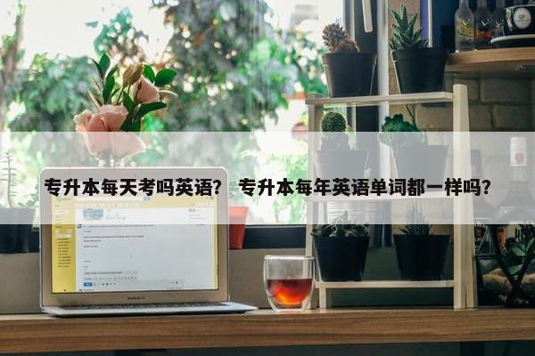 专升本每天考吗英语？ 专升本每年英语单词都一样吗？