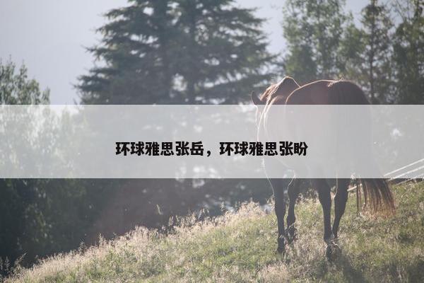环球雅思张岳，环球雅思张盼