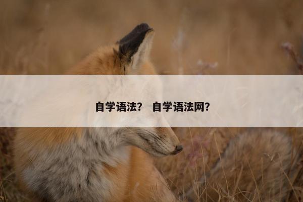 自学语法？ 自学语法网？