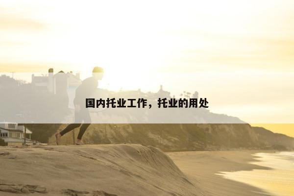 国内托业工作，托业的用处