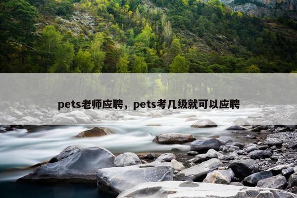 pets老师应聘，pets考几级就可以应聘