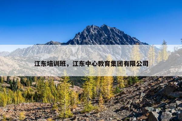 江东培训班，江东中心教育集团有限公司