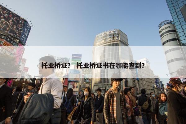 托业桥证？ 托业桥证书在哪能查到？