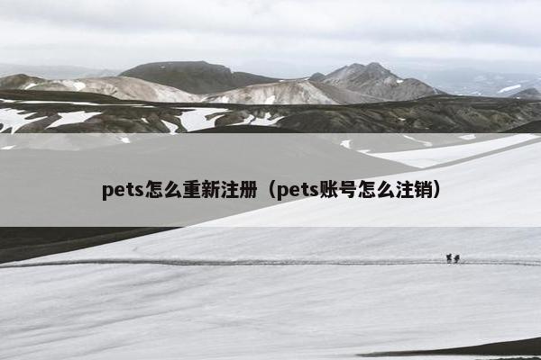 pets怎么重新注册（pets账号怎么注销）