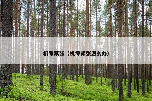 机考紧张（机考紧张怎么办）