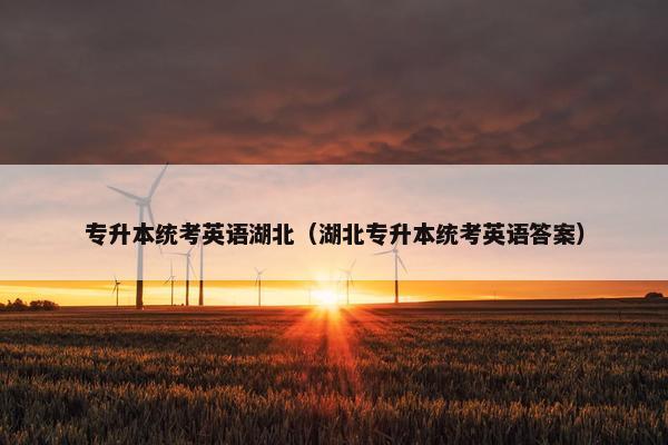 专升本统考英语湖北（湖北专升本统考英语答案）