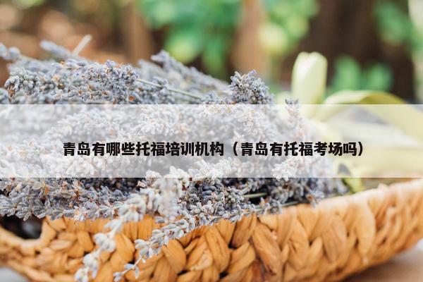 青岛有哪些托福培训机构（青岛有托福考场吗）