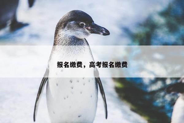 报名缴费，高考报名缴费