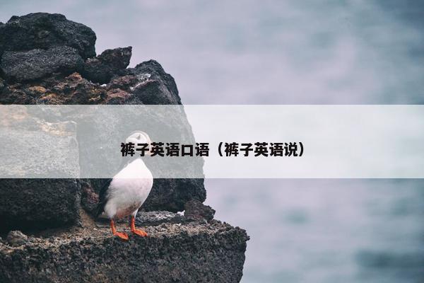 裤子英语口语（裤子英语说）