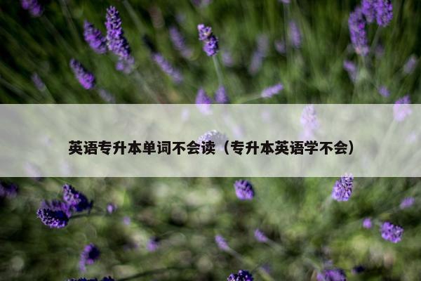 英语专升本单词不会读（专升本英语学不会）