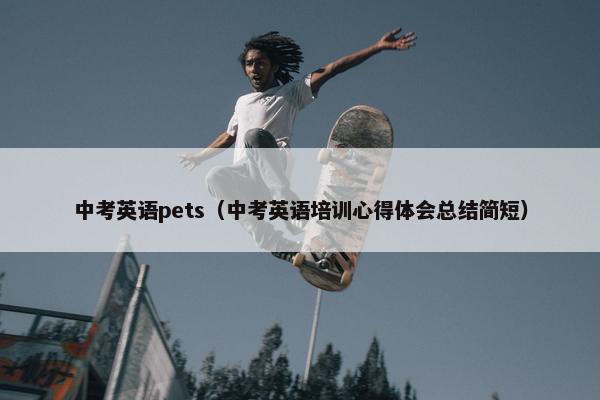 中考英语pets（中考英语培训心得体会总结简短）